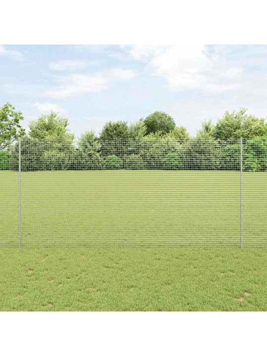 Žogs ar stabiem. sudraba 1.5 x 50 m tērauds