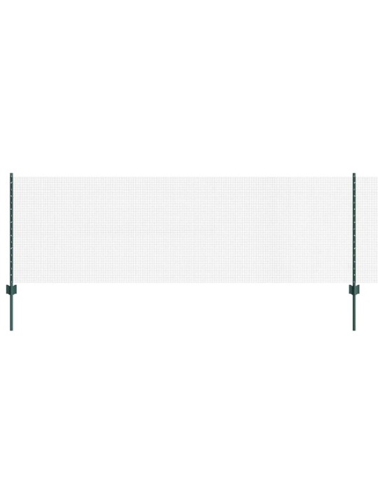 Žogs ar stabiem. zaļa 0.8 x 25 m tērauds