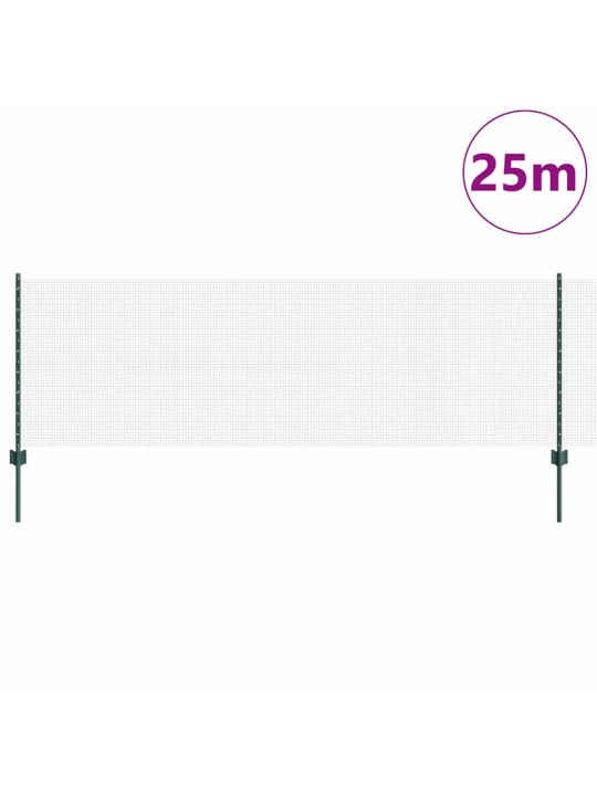 Žogs ar stabiem. zaļa 0.8 x 25 m tērauds