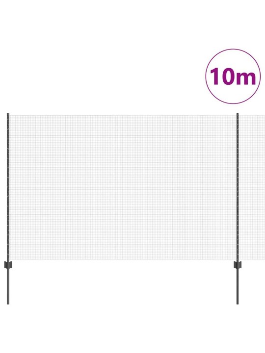 Žogs ar stabiem. pelēka 1.5 x 10 m tērauds