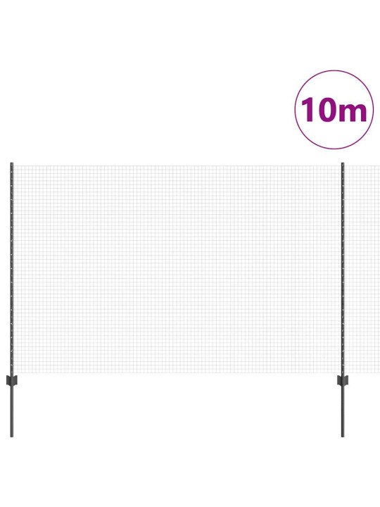 Žogs ar stabiem. pelēka 1.5 x 10 m tērauds