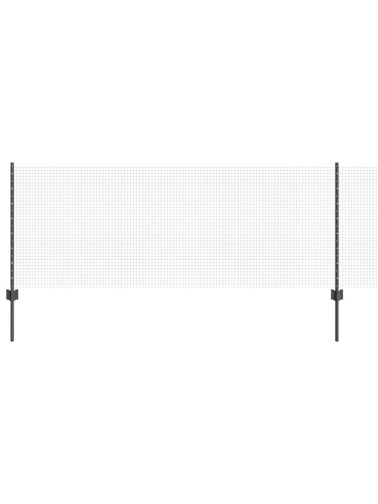 Žogs ar stabiem. pelēka 0.8 x 25 m tērauds
