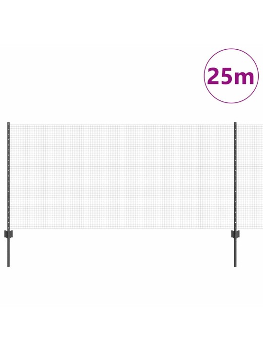 Žogs ar stabiem. pelēka 1 x 25 m tērauds