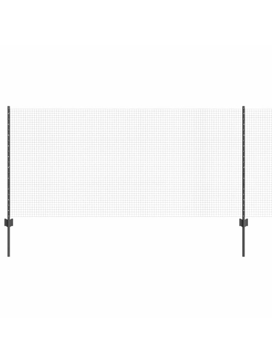 Žogs ar stabiem. pelēka 1 x 50 m tērauds