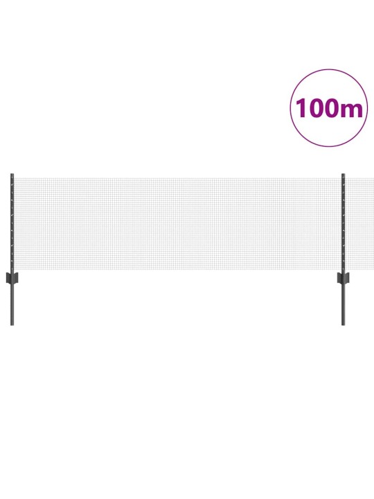 Žogs ar stabiem. pelēka 0.6 x 100 m tērauds