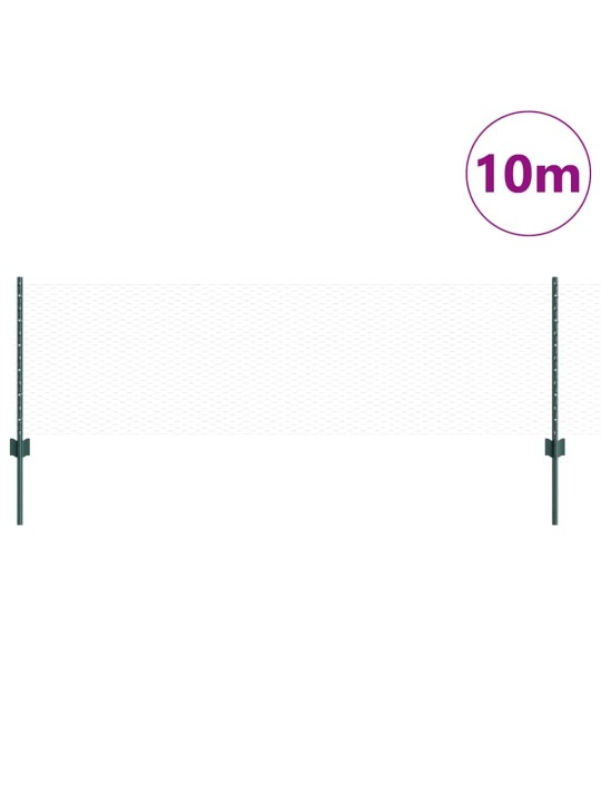 Žogs ar stabiem. zaļa 0.6 x 10 m tērauds