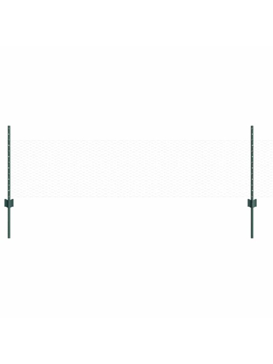Žogs ar stabiem. zaļa 0.5 x 25 m tērauds