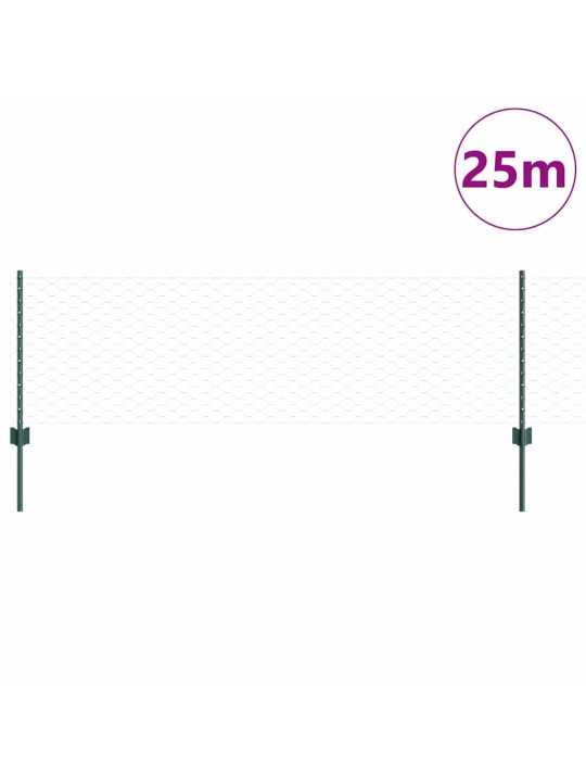 Žogs ar stabiem. zaļa 0.6 x 25 m tērauds