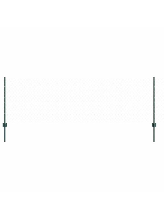 Žogs ar stabiem. zaļa 0.8 x 25 m tērauds