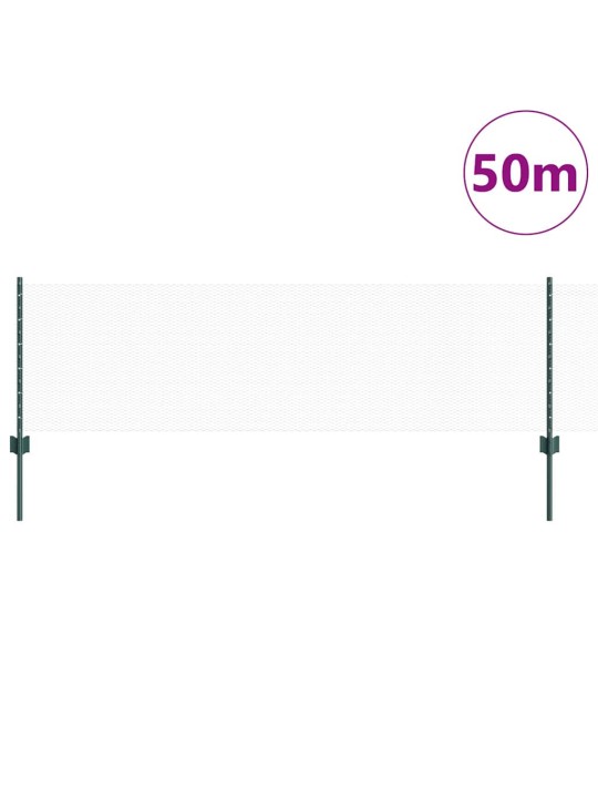 Žogs ar stabiem. zaļa 0.6 x 50 m tērauds