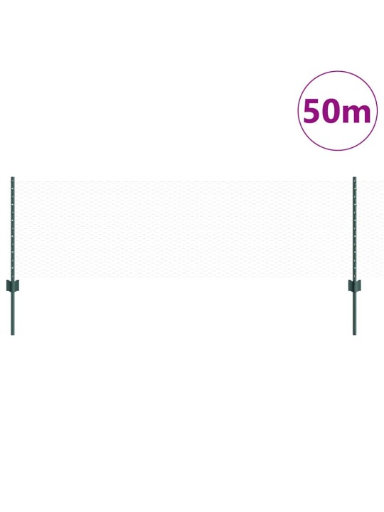 Žogs ar stabiem. zaļa 0.6 x 50 m tērauds