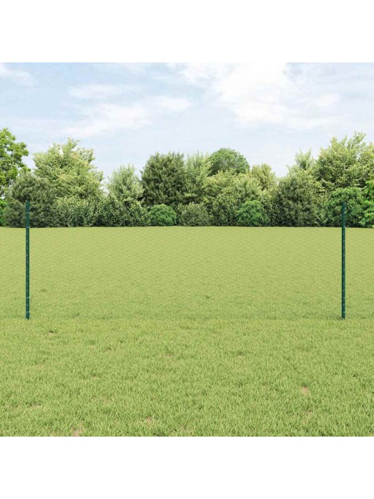 Žogs ar stabiem. zaļa 0.8 x 50 m tērauds