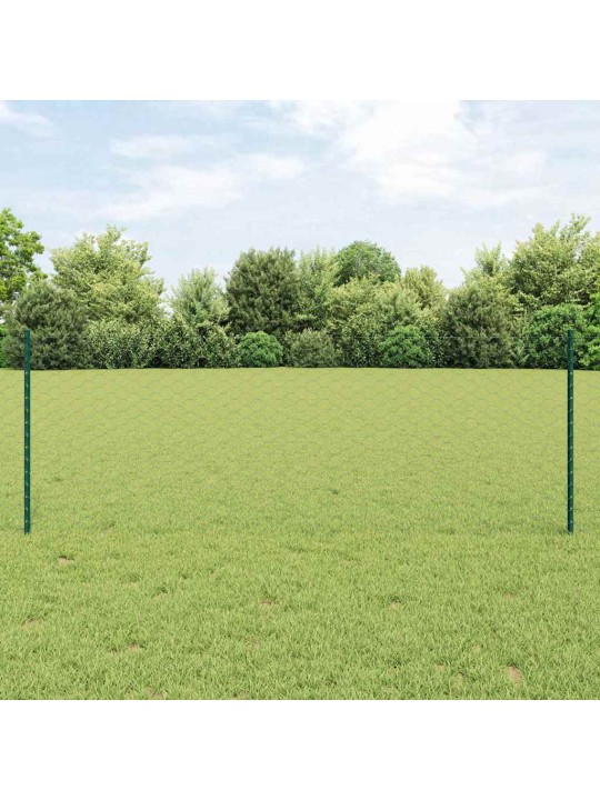 Žogs ar stabiem. zaļa 0.8 x 50 m tērauds