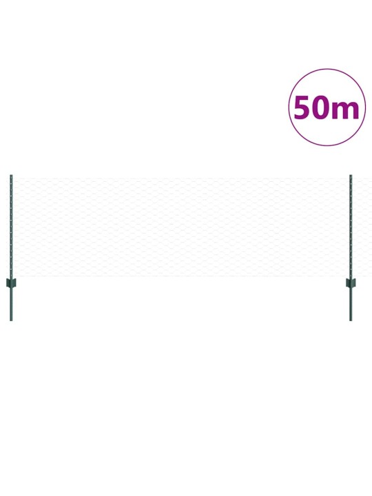 Žogs ar stabiem. zaļa 0.8 x 50 m tērauds