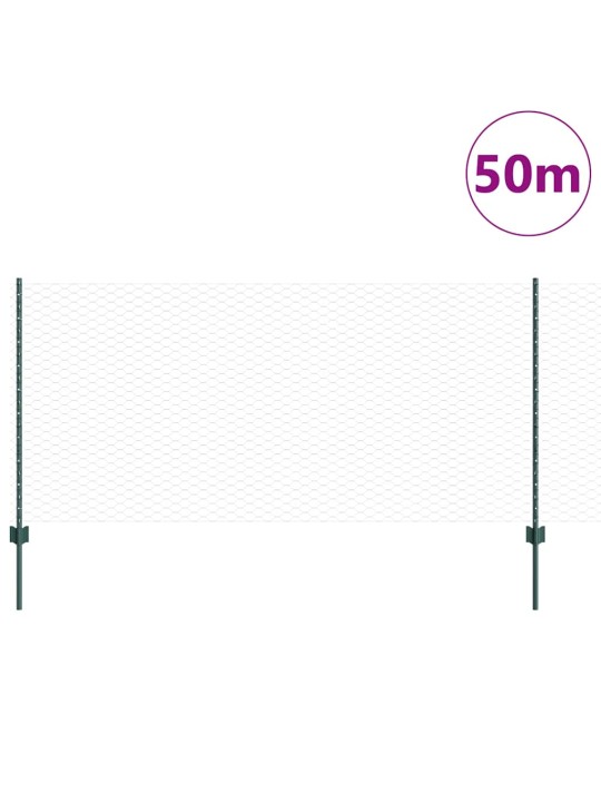 Žogs ar stabiem. zaļa 1 x 50 m tērauds