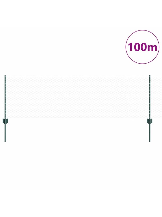 Žogs ar stabiem. zaļa 0.6 x 100 m tērauds