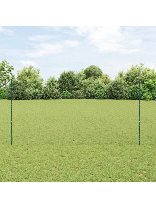 Žogs ar stabiem. zaļa 1.5 x 100 m tērauds