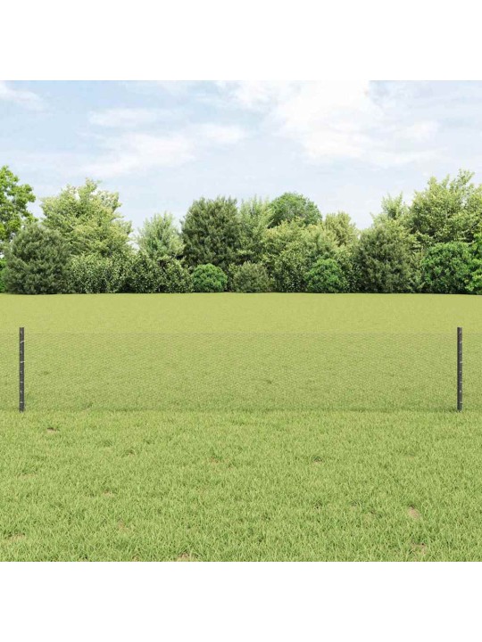 Žogs ar stabiem. pelēka 0.4 x 10 m tērauds