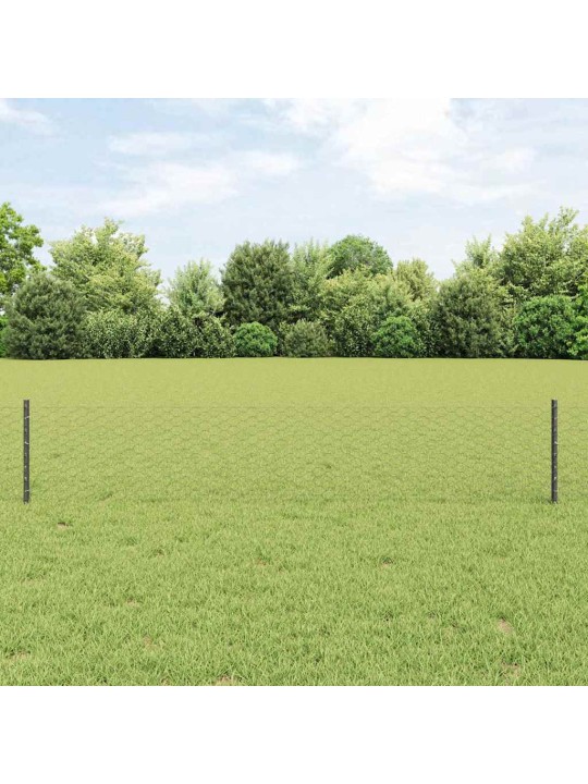 Žogs ar stabiem. pelēka 0.4 x 10 m tērauds