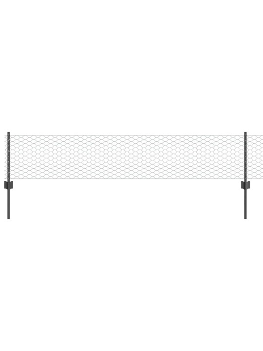 Žogs ar stabiem. pelēka 0.4 x 10 m tērauds