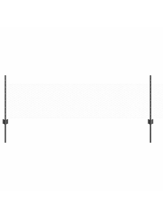 Žogs ar stabiem. pelēka 0.5 x 10 m tērauds