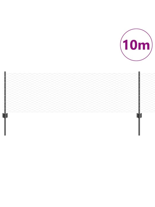 Žogs ar stabiem. pelēka 0.6 x 10 m tērauds