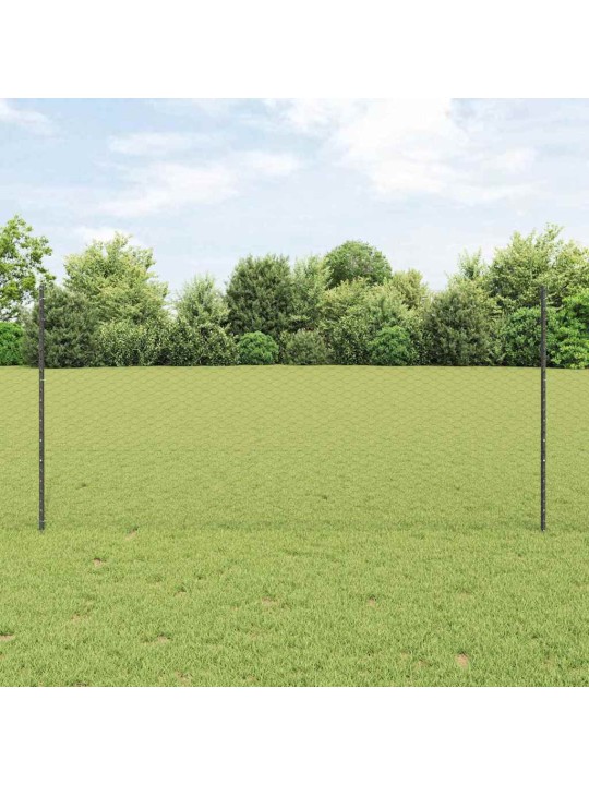 Žogs ar stabiem. pelēka 1.2 x 10 m tērauds