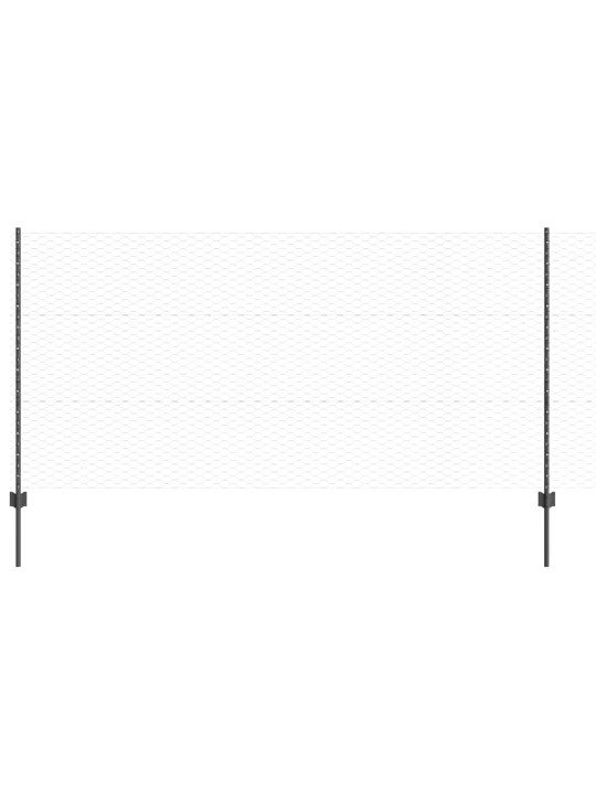 Žogs ar stabiem. pelēka 1.2 x 10 m tērauds