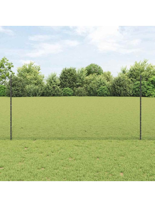 Žogs ar stabiem. pelēka 1.2 x 25 m tērauds