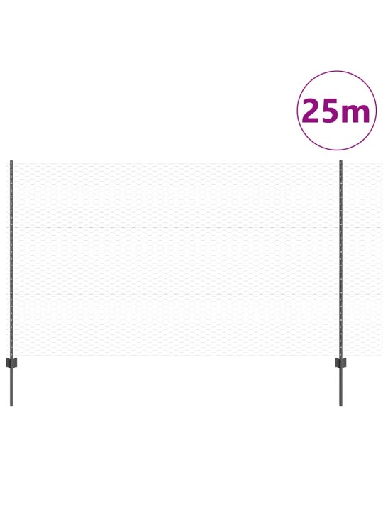 Žogs ar stabiem. pelēka 1.4 x 25 m tērauds