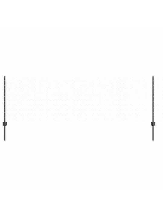 Žogs ar stabiem. pelēka 0.8 x 50 m tērauds