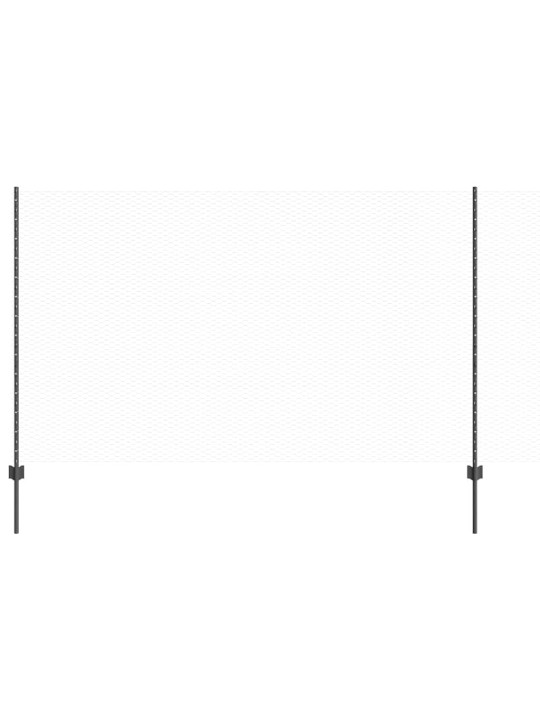 Žogs ar stabiem. pelēka 1.4 x 50 m tērauds