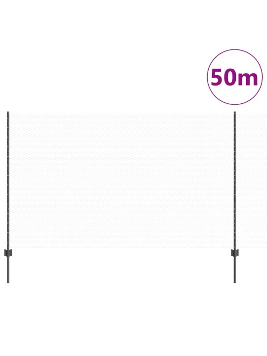 Žogs ar stabiem. pelēka 1.4 x 50 m tērauds