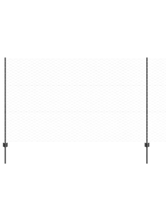 Žogs ar stabiem. pelēka 1.4 x 50 m tērauds