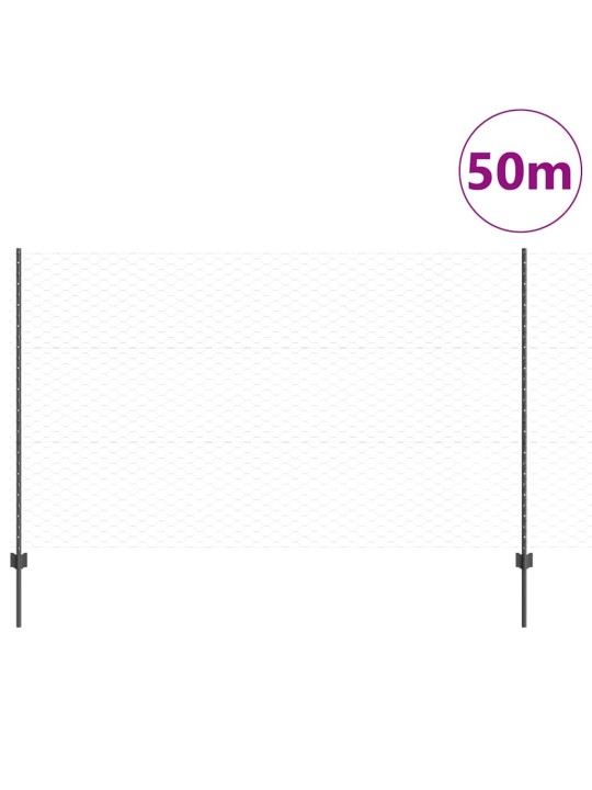 Žogs ar stabiem. pelēka 1.4 x 50 m tērauds