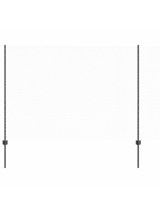 Žogs ar stabiem. pelēka 1.5 x 50 m tērauds