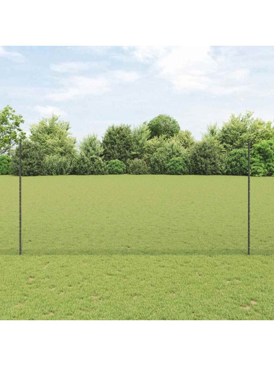 Žogs ar stabiem. pelēka 1.6 x 50 m tērauds