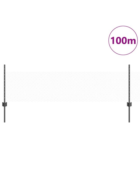Žogs ar stabiem. pelēka 0.5 x 100 m tērauds