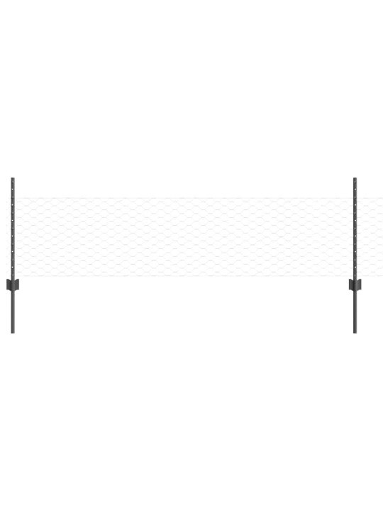 Žogs ar stabiem. pelēka 0.5 x 100 m tērauds