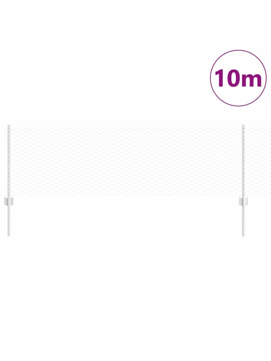 Žogs ar stabiem. sudraba 0.6 x 10 m tērauds