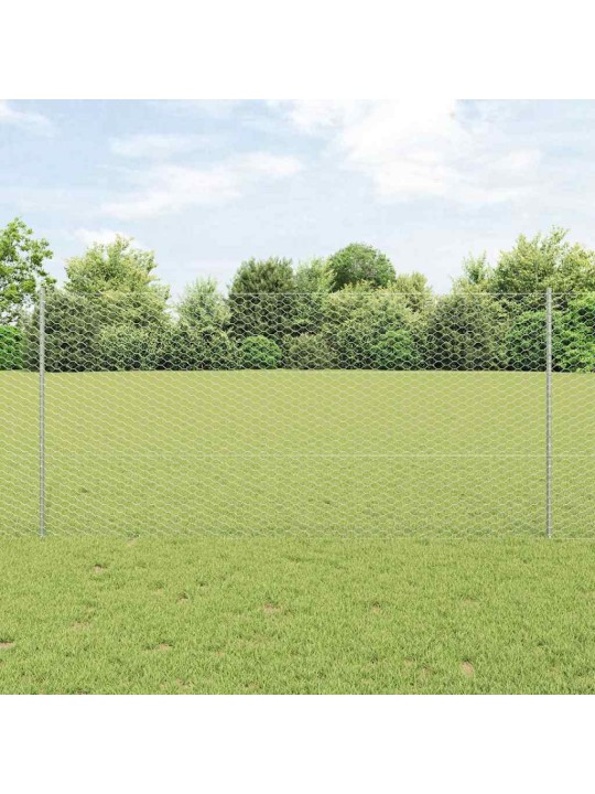 Žogs ar stabiem. sudraba 1.2 x 25 m tērauds