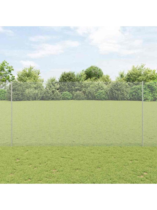Žogs ar stabiem. sudraba 1.6 x 25 m tērauds