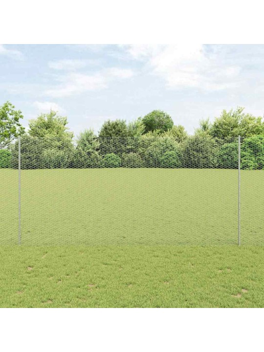 Žogs ar stabiem. sudraba 1.6 x 25 m tērauds