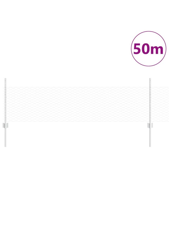 Žogs ar stabiem. sudraba 0.5 x 50 m tērauds