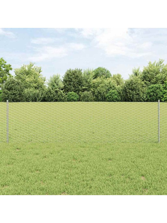 Žogs ar stabiem. sudraba 0.6 x 50 m tērauds