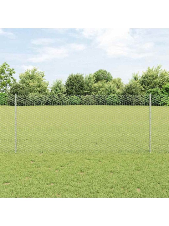 Žogs ar stabiem. sudraba 1 x 50 m tērauds