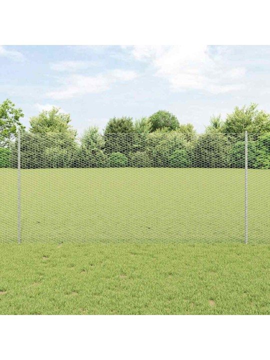 Žogs ar stabiem. sudraba 1.2 x 50 m tērauds