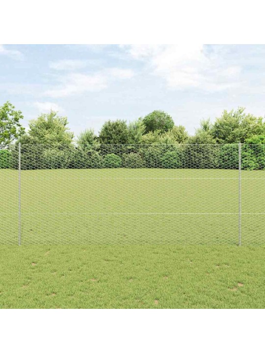 Žogs ar stabiem. sudraba 1.4 x 50 m tērauds