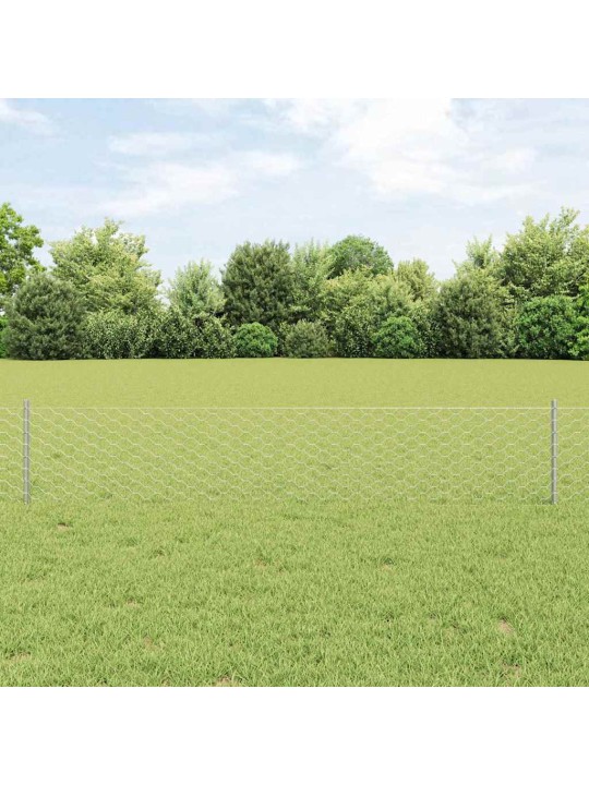 Žogs ar stabiem. sudraba 0.4 x 100 m tērauds