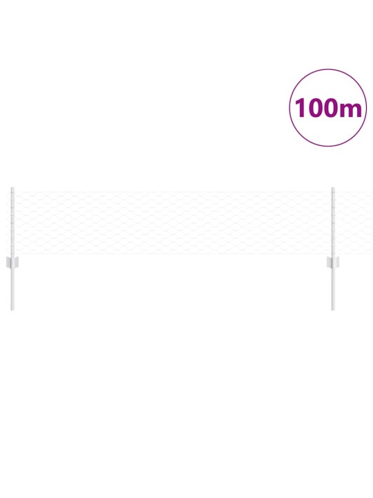 Žogs ar stabiem. sudraba 0.4 x 100 m tērauds